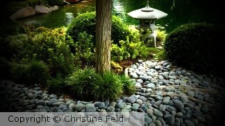 Japanese Gardens, CSU Long Beach