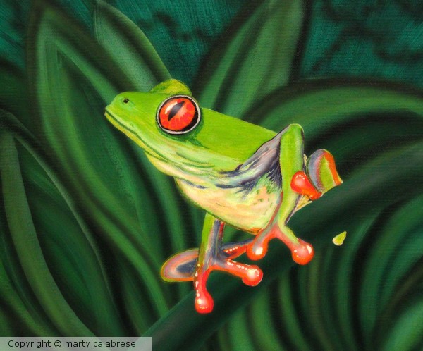 Topical Tree Frog