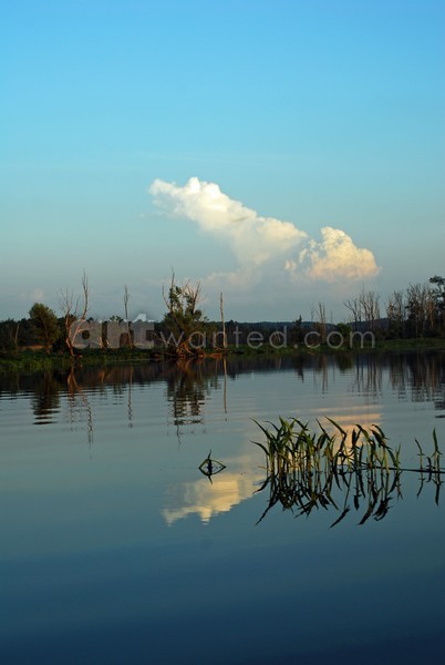 Cloud Reflections II
