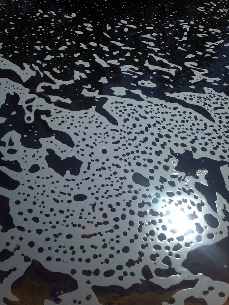 Pond Water