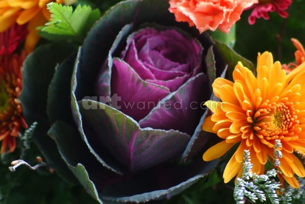Birthday Flowers