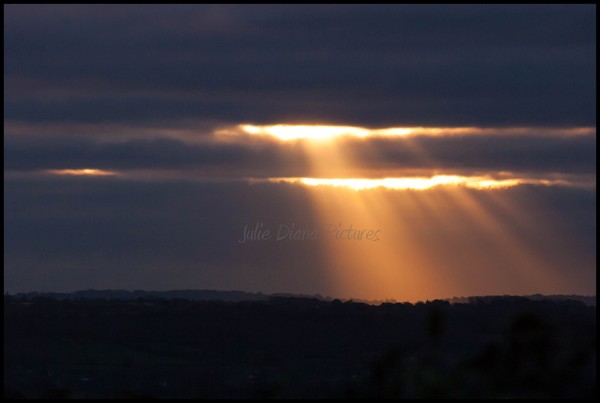 Angel Rays