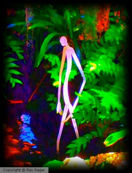 Aliens in our Midst