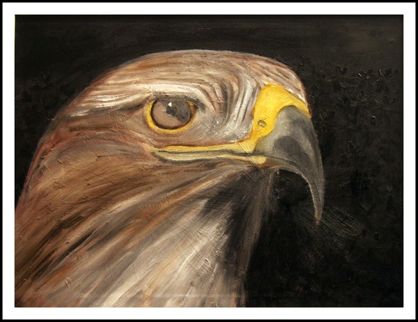 Eagle-eye