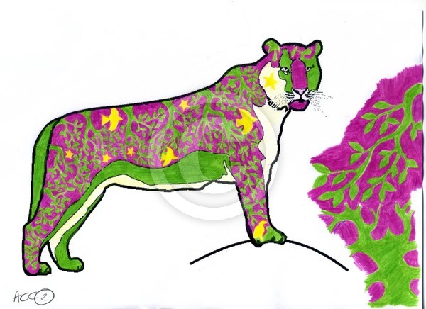 Magenta Tiger
