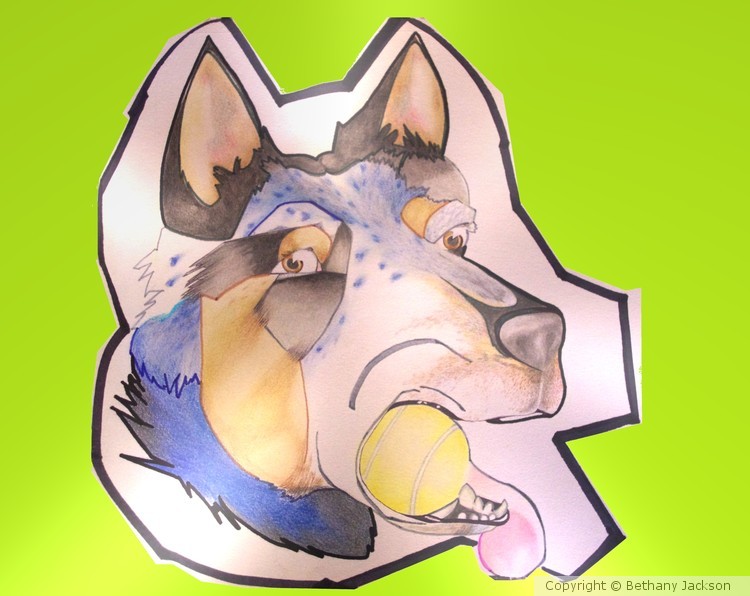 Blue Heeler II