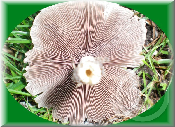 Upside down.....!