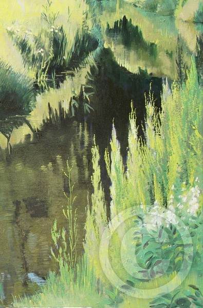 Grassy side of the ditch