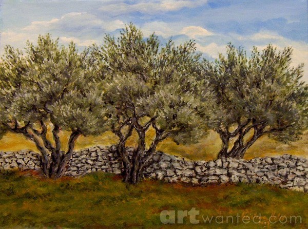 Olive trees