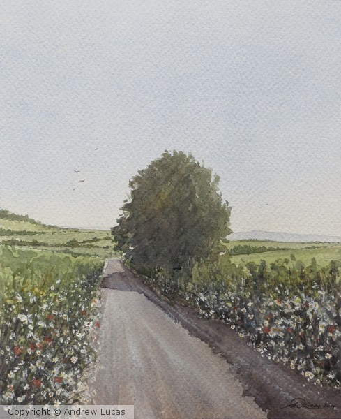 Country road