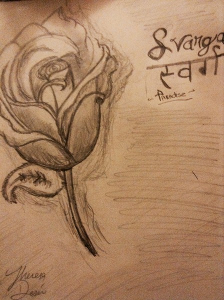 Rose