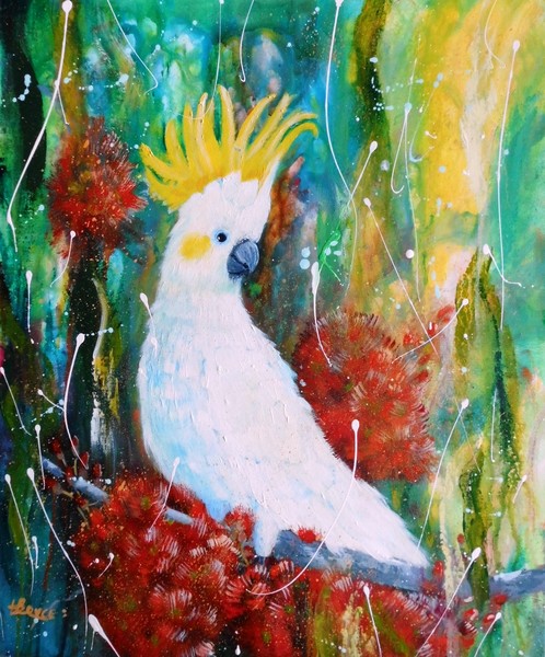 Australian Sulphur Crested Cockatoo