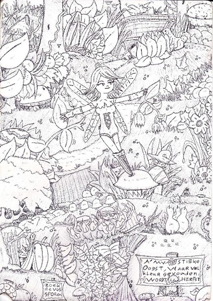 find the fairies