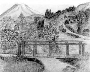 country bridge