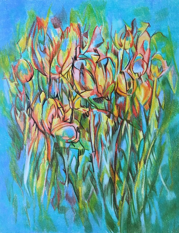 Tulips