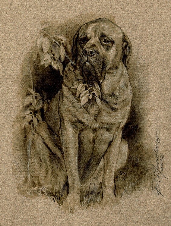 Dog Sketch 1