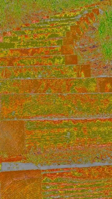 thumbnail-803