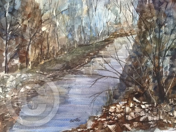 Wild banks