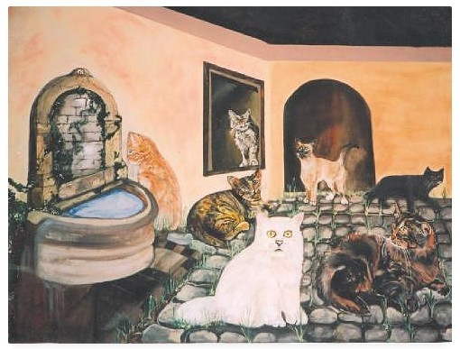 7 cats
