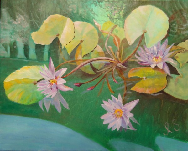 In emerald waters