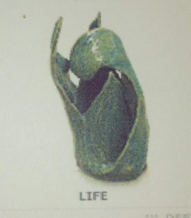 Life