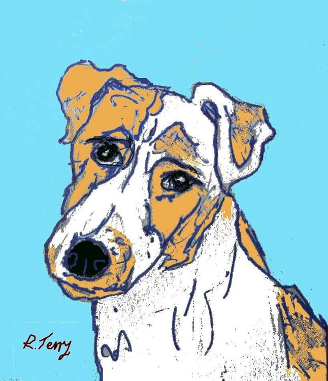 foxterrier