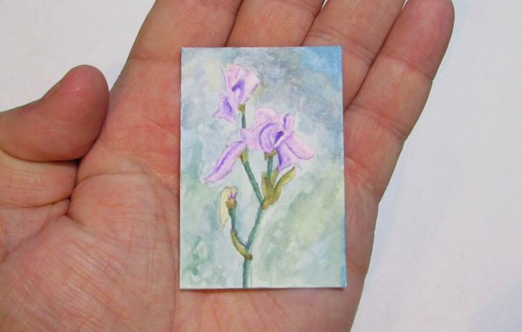 Lonely Flower