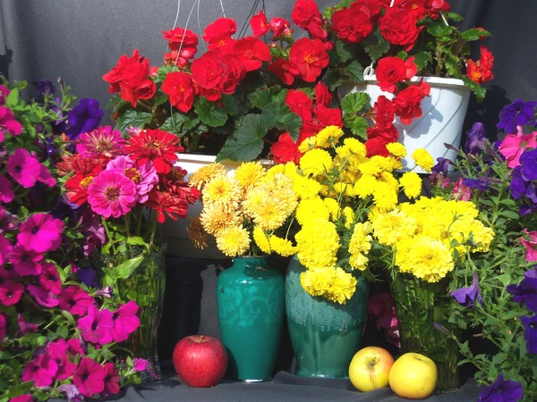 Flowers  1