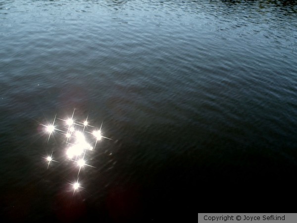 Sun-kissed Summer Lake