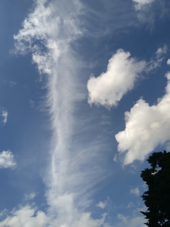 Feather in the Sky