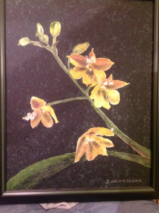YELLOW DAFFODILS