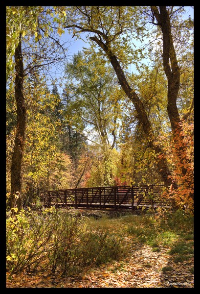 Autumn Bridge