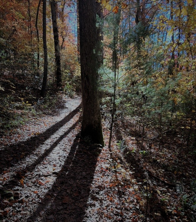 Shadow Hike AW