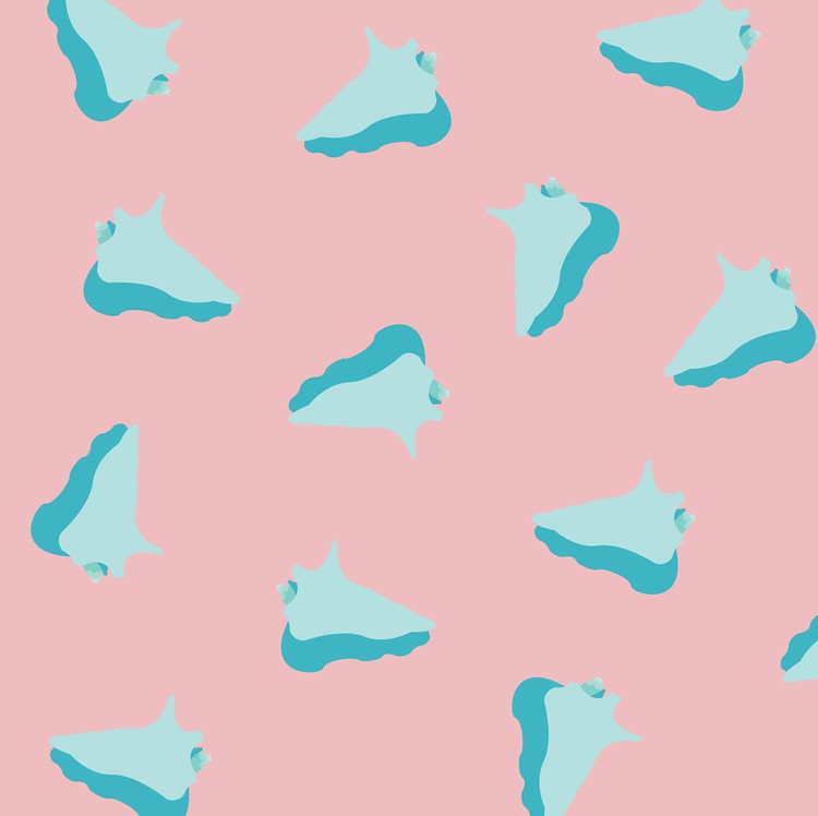 Conch Shell Pattern