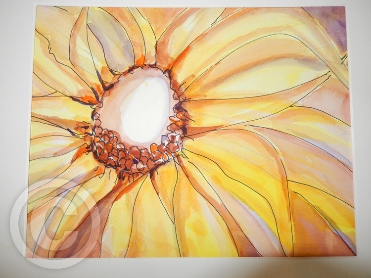 Sunflower ©