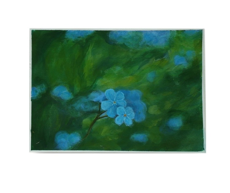 Forget-me-not
