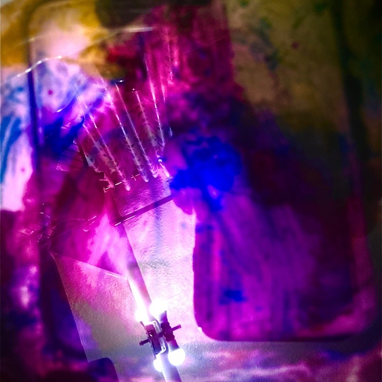 purple63 2020