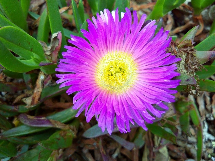 DSCF0010