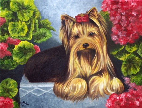Jason and the Geraniums