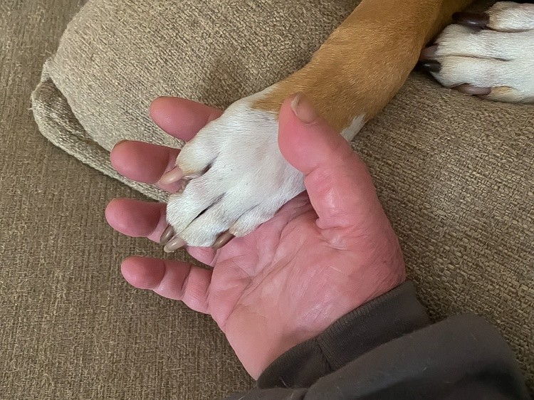 I wanna Hold Your Hand