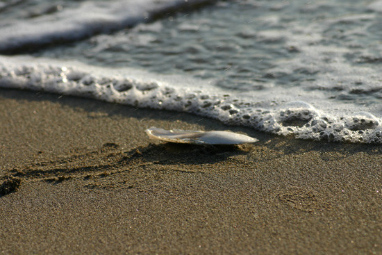 seaside