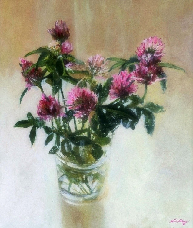 Red Clover 