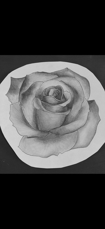 Black or White Flower 