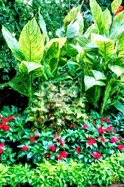 Tropical Garden