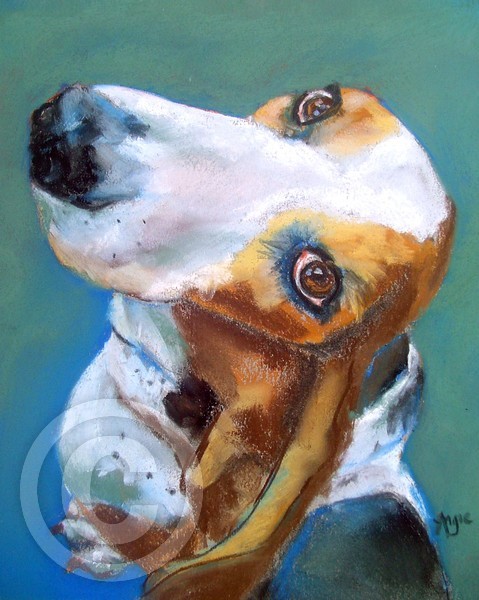 Roscoe