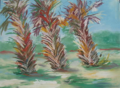 Sebastian Florida Palms Three