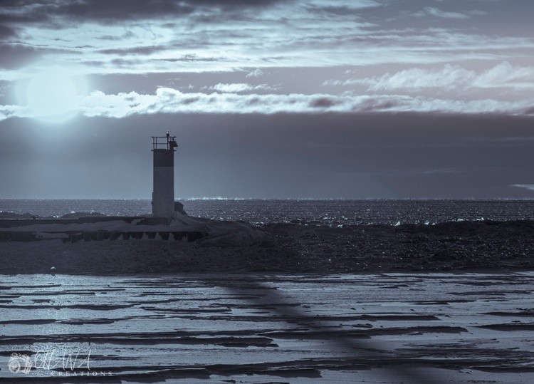 20260130- N0A2785-Full Size -2