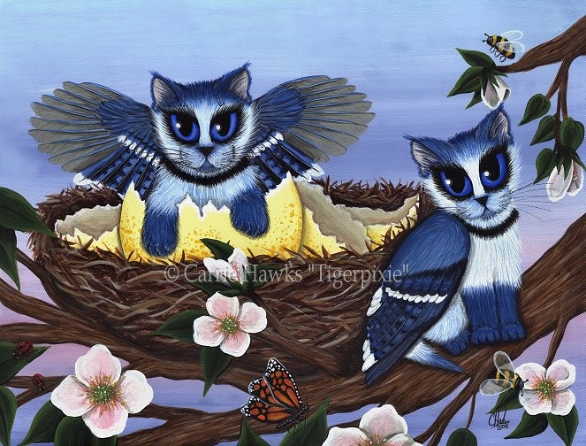 Blue Jay Kittens