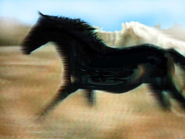 Horses, like the wind