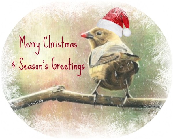 Merry Christmas